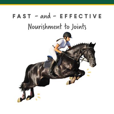 Show full view: Corta-Flx Powder Joint & Connective Tissue Support Horse Supplement, 8-lb bucket slide 4 of 7