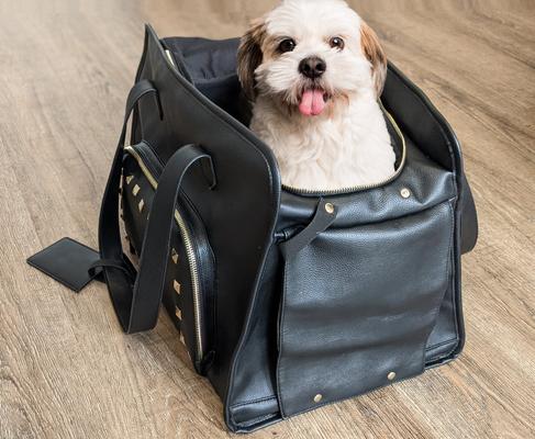 Show full view: Cosmo Furbabies Stylish Dog & Cat Carrier, 17-in slide 7 of 7