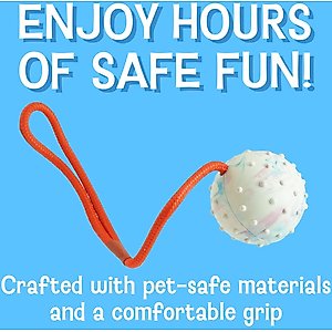 Cosmo's Snack Shack Club House Fling N' Fetch Tough Rope Ball Dog Toy, 2.5-in