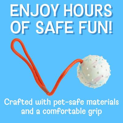 Show full view: Cosmo's Snack Shack Club House Fling N' Fetch Tough Rope Ball Dog Toy, 2.5-in slide 3 of 8