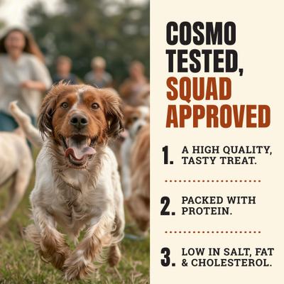 Show full view: Cosmo's Snack Shack Savory Sticks Pork Barbecue High-Protein Jerky Dog Treats, 24 count slide 5 of 10