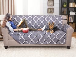 Couch Guard Sofa Furniture Protector, Odyssey Gray, Large