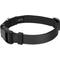 Show in main carousel: Country Brook Petz Everyday Nylon Dog Collar, Black, X-Small: 9 to 11-in neck, 3/8-in wide slide 5 of 8