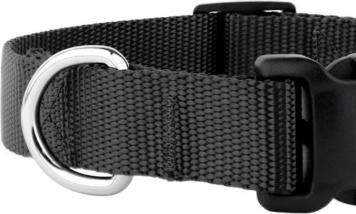 Show full view: Country Brook Petz Everyday Nylon Dog Collar, Black, X-Small: 9 to 11-in neck, 3/8-in wide slide 7 of 8