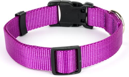 Show full view: Country Brook Petz Everyday Nylon Dog Collar, Bright Purple, Large: 16 to 22-in neck, 1-in wide slide 10 of 11