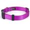 Show in main carousel: Country Brook Petz Everyday Nylon Dog Collar, Bright Purple, Large: 16 to 22-in neck, 1-in wide slide 9 of 11