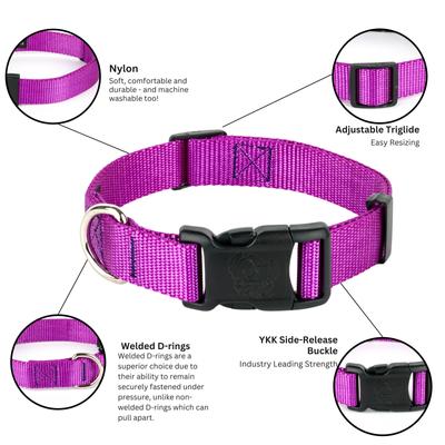 Show full view: Country Brook Petz Everyday Nylon Dog Collar, Bright Purple, Large: 16 to 22-in neck, 1-in wide slide 6 of 11