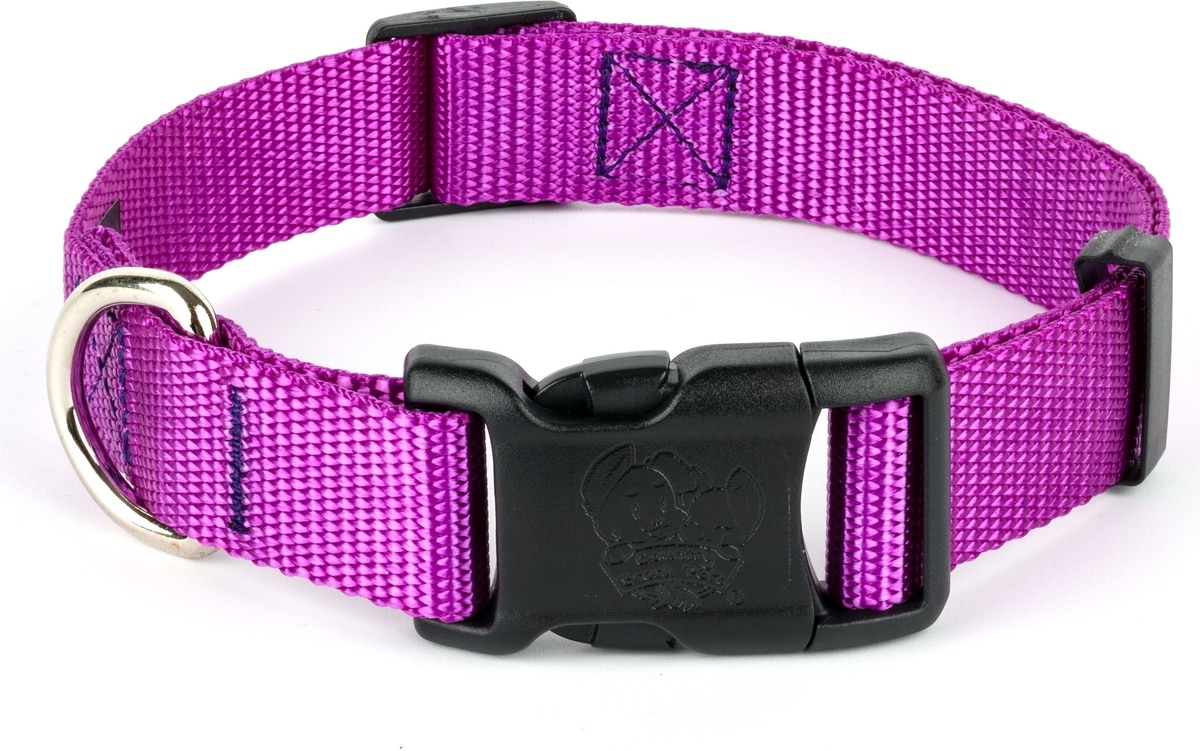 COUNTRY BROOK PETZ Everyday Nylon Dog Collar, Bright Purple, X