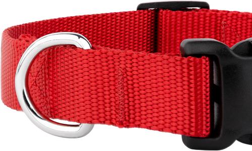 Show full view: Country Brook Petz Everyday Nylon Dog Collar, Bright Red, Large: 16 to 22-in neck, 1-in wide slide 9 of 10