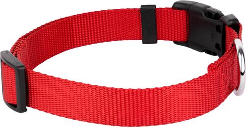 Show full view: Country Brook Petz Everyday Nylon Dog Collar, Bright Red, Large: 16 to 22-in neck, 1-in wide slide 8 of 10