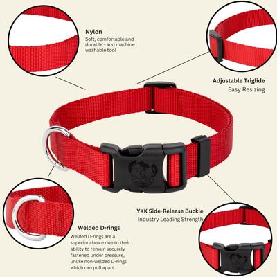 Show full view: Country Brook Petz Everyday Nylon Dog Collar, Bright Red, Small: 11 to 13-in neck, 3/4-in wide slide 6 of 11