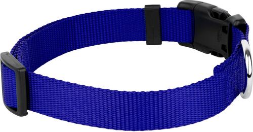 Show full view: Country Brook Petz Everyday Nylon Dog Collar, Bright Royal Blue, Large: 16 to 22-in neck, 1-in wide slide 6 of 8