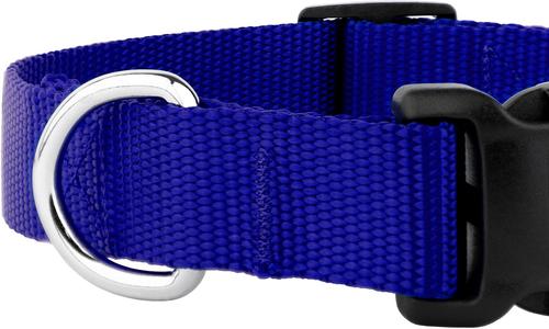 Show full view: Country Brook Petz Everyday Nylon Dog Collar, Bright Royal Blue, Medium: 13 to 16-in neck, 3/4-in wide slide 7 of 8
