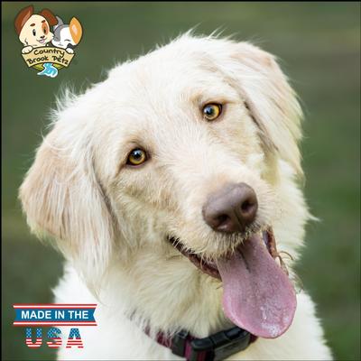 Show full view: Country Brook Petz Everyday Nylon Dog Collar, Burgundy, Medium: 13 to 16-in neck, 3/4-in wide slide 3 of 11