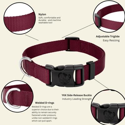 Show full view: Country Brook Petz Everyday Nylon Dog Collar, Burgundy, Small: 11 to 13-in neck, 3/4-in wide slide 5 of 10