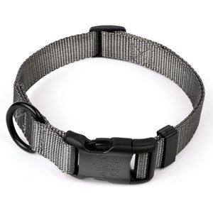 Country Brook Petz Everyday Nylon Dog Collar, Charcoal, Small: 11 to 13-in neck, 3/4-in wide