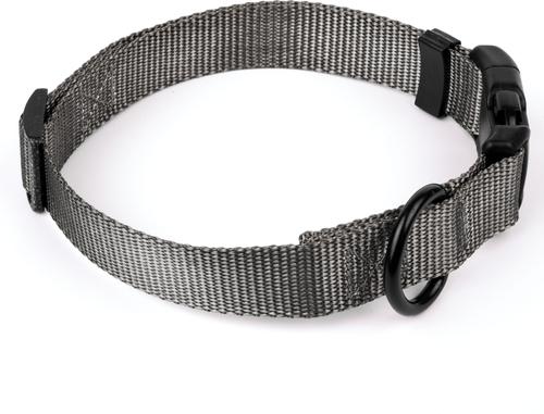 Show full view: Country Brook Petz Everyday Nylon Dog Collar, Charcoal, Small: 11 to 13-in neck, 3/4-in wide slide 5 of 7