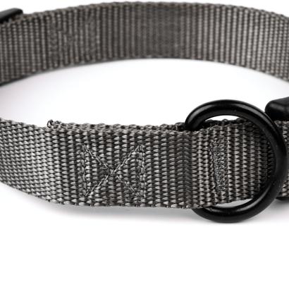 Show full view: Country Brook Petz Everyday Nylon Dog Collar, Charcoal, Small: 11 to 13-in neck, 3/4-in wide slide 6 of 7