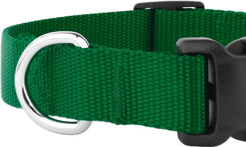 Show full view: Country Brook Petz Everyday Nylon Dog Collar, Christmas Green, Medium: 13 to 16-in neck, 3/4-in wide slide 7 of 8