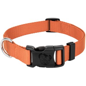 Country Brook Petz Everyday Nylon Dog Collar, Coral, Small: 11 to 13-in neck, 3/4-in wide