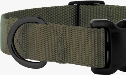 Show full view: Country Brook Petz Everyday Nylon Dog Collar, Dark Olive Drab, Medium: 13 to 16-in neck, 3/4-in wide slide 8 of 9