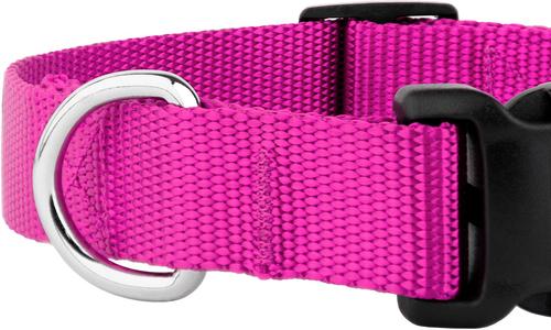Show full view: Country Brook Petz Everyday Nylon Dog Collar, Fuchsia, Large: 16 to 22-in neck, 1-in wide slide 7 of 8