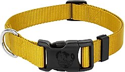 Country Brook Petz Everyday Nylon Dog Collar, Gold, Large: 16 to 22-in neck, 1-in wide