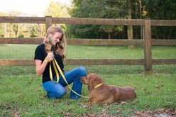 Country Brook Petz Everyday Nylon Dog Collar, Gold, Large: 16 to 22-in neck, 1-in wide slide 2 of 7