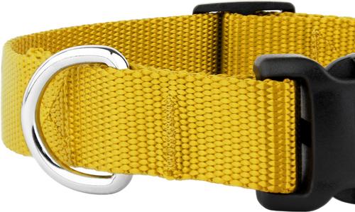 Show full view: Country Brook Petz Everyday Nylon Dog Collar, Gold, Large: 16 to 22-in neck, 1-in wide slide 8 of 9