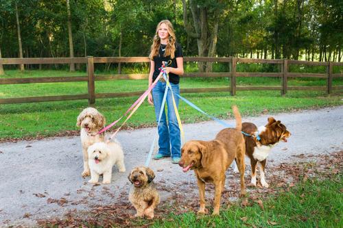 Show full view: Country Brook Petz Everyday Nylon Dog Collar, Gold, Medium: 13 to 16-in neck, 3/4-in wide slide 4 of 9