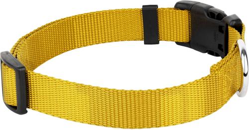 Show full view: Country Brook Petz Everyday Nylon Dog Collar, Gold, Medium: 13 to 16-in neck, 3/4-in wide slide 7 of 9