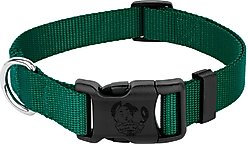 Country Brook Petz Everyday Nylon Dog Collar, Green, Large: 16 to 22-in neck, 1-in wide slide 1 of 8