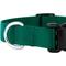 Show in main carousel: Country Brook Petz Everyday Nylon Dog Collar, Green, Medium: 13 to 16-in neck, 3/4-in wide slide 8 of 9
