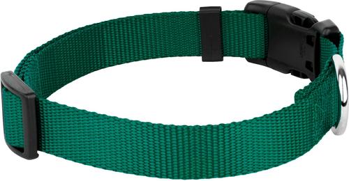 Show full view: Country Brook Petz Everyday Nylon Dog Collar, Green, X-Large: 18 to 26-in neck, 1-in wide slide 8 of 10