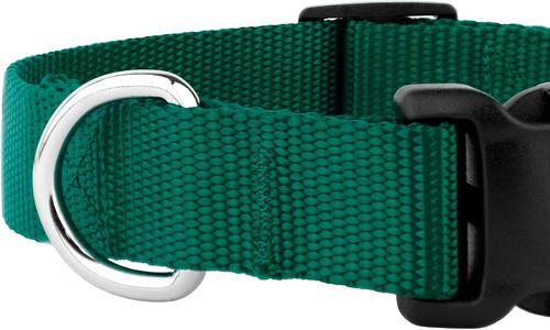 Show full view: Country Brook Petz Everyday Nylon Dog Collar, Green, X-Small: 9 to 11-in neck, 3/8-in wide slide 8 of 9