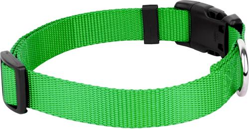 Show full view: Country Brook Petz Everyday Nylon Dog Collar, Hot Lime Green, Medium: 13 to 16-in neck, 3/4-in wide slide 7 of 9