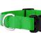 Show in main carousel: Country Brook Petz Everyday Nylon Dog Collar, Hot Lime Green, Medium: 13 to 16-in neck, 3/4-in wide slide 8 of 9