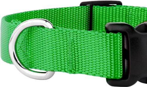 Show full view: Country Brook Petz Everyday Nylon Dog Collar, Hot Lime Green, Medium: 13 to 16-in neck, 3/4-in wide slide 8 of 9