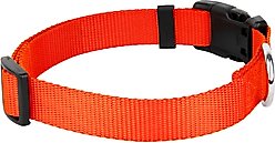 Country Brook Petz Everyday Nylon Dog Collar, Hot Orange, Large: 16 to 22-in neck, 1-in wide slide 2 of 7