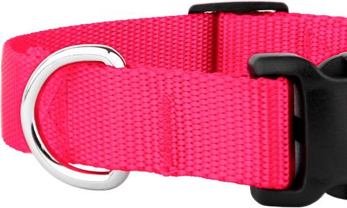 Show full view: Country Brook Petz Everyday Nylon Dog Collar, Hot Pink, Medium: 13 to 16-in neck, 3/4-in wide slide 7 of 8