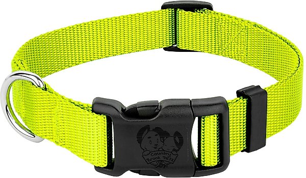 Country Brook Design - Clovers In The Wind On Hot Lime Green Nylon Webbing 1 Inch 50 Yards