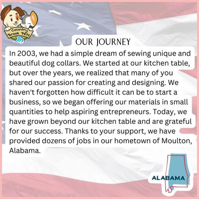 Show full view: Country Brook Petz Everyday Nylon Dog Collar, Hot Yellow, Large: 16 to 22-in neck, 1-in wide slide 7 of 11