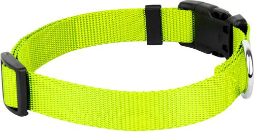 Show full view: Country Brook Petz Everyday Nylon Dog Collar, Hot Yellow, Large: 16 to 22-in neck, 1-in wide slide 9 of 11