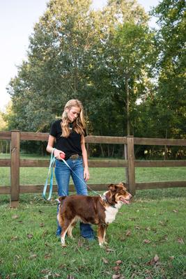 Show full view: Country Brook Petz Everyday Nylon Dog Collar, Ice Blue, Medium: 13 to 16-in neck, 3/4-in wide slide 3 of 8