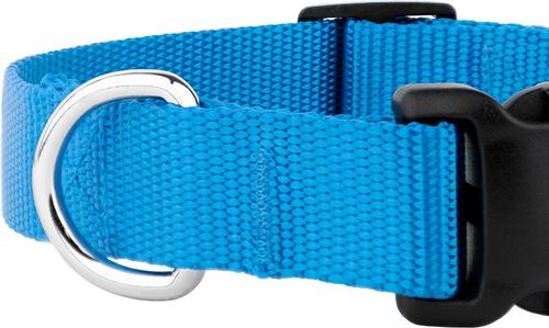 Show full view: Country Brook Petz Everyday Nylon Dog Collar, Ice Blue, Small: 11 to 13-in neck, 3/4-in wide slide 8 of 9