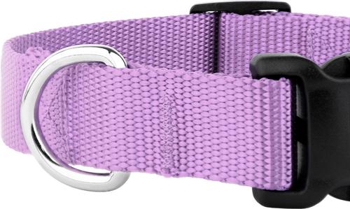 Show full view: Country Brook Petz Everyday Nylon Dog Collar, Lavender, Large: 16 to 22-in neck, 1-in wide slide 7 of 8