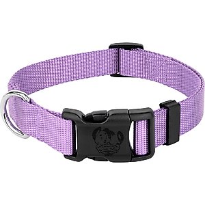 Country Brook Petz Everyday Nylon Dog Collar, Lavender, Medium: 13 to 16-in neck, 3/4-in wide
