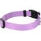 Show in main carousel: Country Brook Petz Everyday Nylon Dog Collar, Lavender, Small: 11 to 13-in neck, 3/4-in wide slide 6 of 8