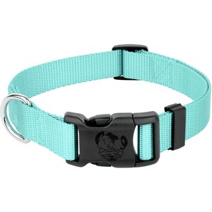 Country Brook Petz Everyday Nylon Dog Collar, Light Cyan, Large: 16 to 22-in neck, 1-in wide