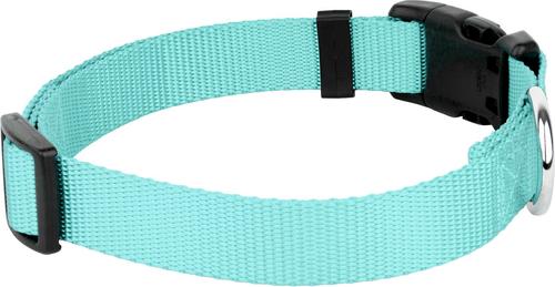 Show full view: Country Brook Petz Everyday Nylon Dog Collar, Light Cyan, Large: 16 to 22-in neck, 1-in wide slide 6 of 8